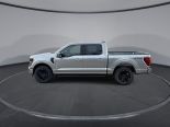 New 2025 Ford F-150 XLT 4x4 SuperCrew 5.5' Box