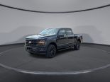 New 2025 Ford F-150 XLT 4x4 SuperCrew 5.5' Box