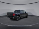 New 2025 Ford F-150 XLT 4x4 SuperCrew 5.5' Box