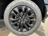 New 2025 Ford F-150 XLT 4x4 SuperCrew 5.5' Box