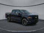 New 2025 Ford F-150 XLT 4x4 SuperCrew 5.5' Box