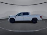 New 2025 Ford F-150 XLT 4x4 SuperCrew 5.5' Box