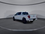 New 2025 Ford F-150 XLT 4x4 SuperCrew 5.5' Box