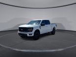 New 2025 Ford F-150 XLT 4x4 SuperCrew 5.5' Box