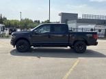 New 2025 Ford F-150 XLT 4x4 SuperCrew 5.5' Box