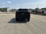 New 2025 Ford F-150 XLT 4x4 SuperCrew 5.5' Box