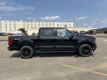 New 2025 Ford F-150 XLT 4x4 SuperCrew 5.5' Box