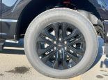 New 2025 Ford F-150 Lariat 4x4 SuperCrew 5.5' Box