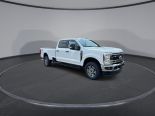 New 2025 Ford Super Duty F-250 SRW XLT 4x4 Crew Cab 8' Box