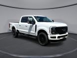 New 2025 Ford Super Duty F-250 SRW XLT 4x4 Crew Cab 6.75' Box