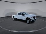 New 2025 Ford Super Duty F-250 SRW XLT 4x4 Crew Cab 8' Box