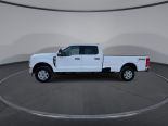 New 2025 Ford Super Duty F-250 SRW XLT 4x4 Crew Cab 8' Box