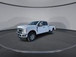 New 2025 Ford Super Duty F-250 SRW XLT 4x4 Crew Cab 8' Box