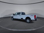 New 2025 Ford Super Duty F-250 SRW XLT 4x4 Crew Cab 8' Box