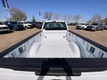 New 2025 Ford Super Duty F-250 SRW XL 4x4 Crew Cab 8' Box
