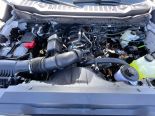 New 2025 Ford Super Duty F-250 SRW XL 4x4 Crew Cab 8' Box