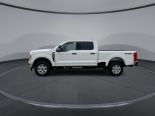 New 2025 Ford Super Duty F-250 SRW XLT 4x4 Crew Cab 6.75' Box