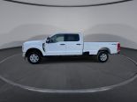 New 2025 Ford Super Duty F-350 SRW XLT 4x4 Crew Cab 8' Box