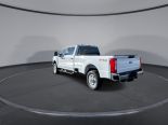 New 2025 Ford Super Duty F-350 SRW XLT 4x4 Crew Cab 8' Box