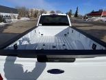 New 2025 Ford Super Duty F-350 SRW XLT 4x4 Crew Cab 8' Box