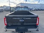 New 2025 Ford Super Duty F-350 SRW XL 4x4 Crew Cab 6.75' Box