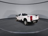 New 2025 Ford Super Duty F-350 SRW XLT 4x4 Crew Cab 8' Box