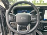 New 2025 Ford Super Duty F-350 SRW Platinum 4x4 Crew Cab 8' Box