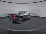 New 2025 Ford Super Duty F-350 SRW XL 4x4 Crew Cab 6.75' Box