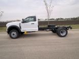 New 2025 Ford Super Duty F-600 DRW XLT 4x4 Reg Cab 169" WB 84" CA