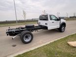 New 2025 Ford Super Duty F-600 DRW XLT 4x4 Reg Cab 169" WB 84" CA