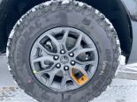 New 2026 Ford Expedition Tremor 4x4