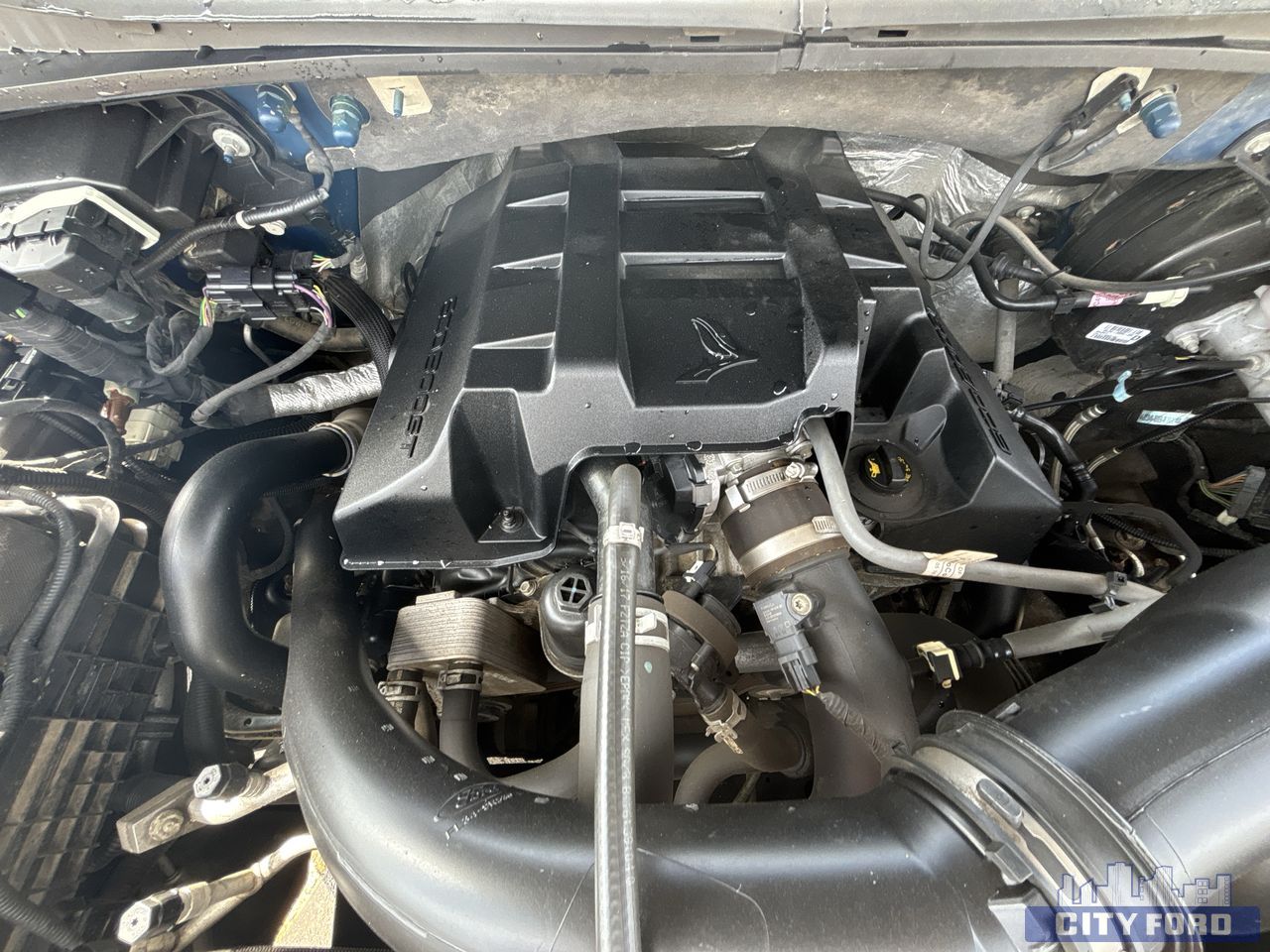 used 2017 Ford F-150 car, priced at $25,995