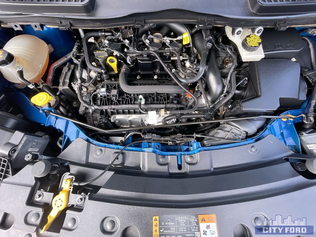 used 2019 Ford Escape car, priced at $19,995