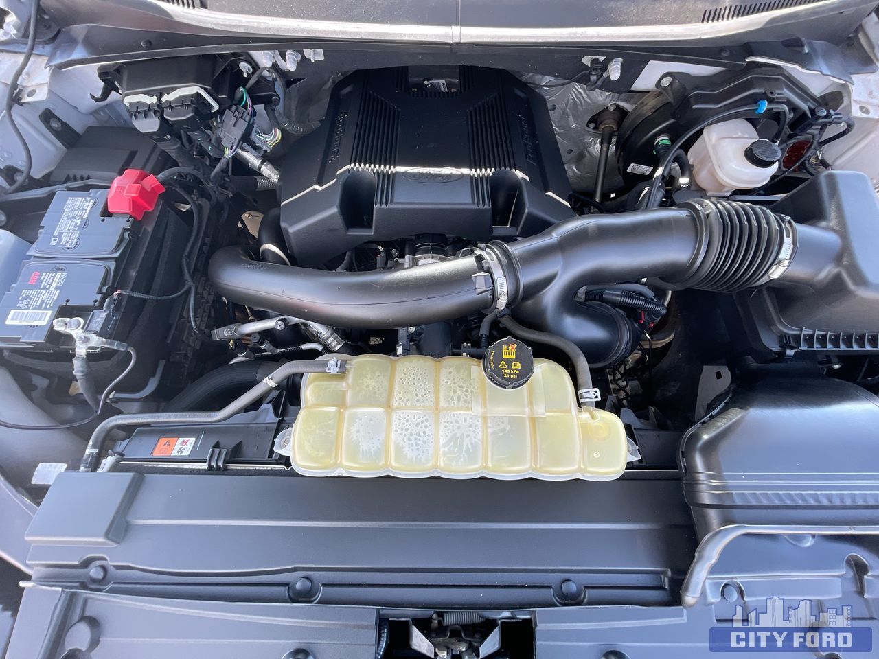 used 2019 Ford F-150 car, priced at $33,995