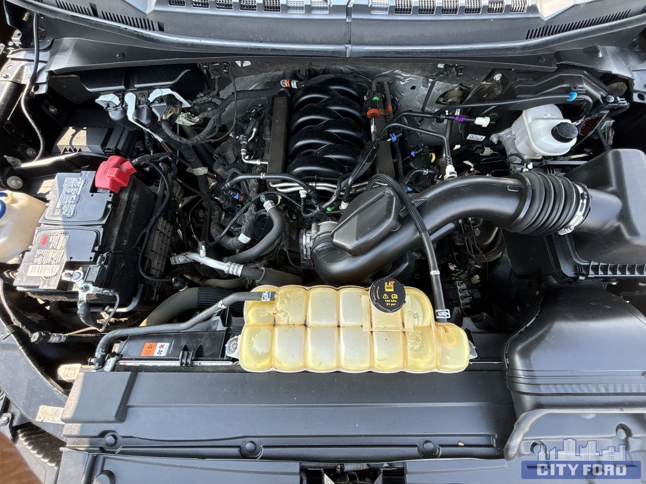 used 2020 Ford F-150 car, priced at $31,995