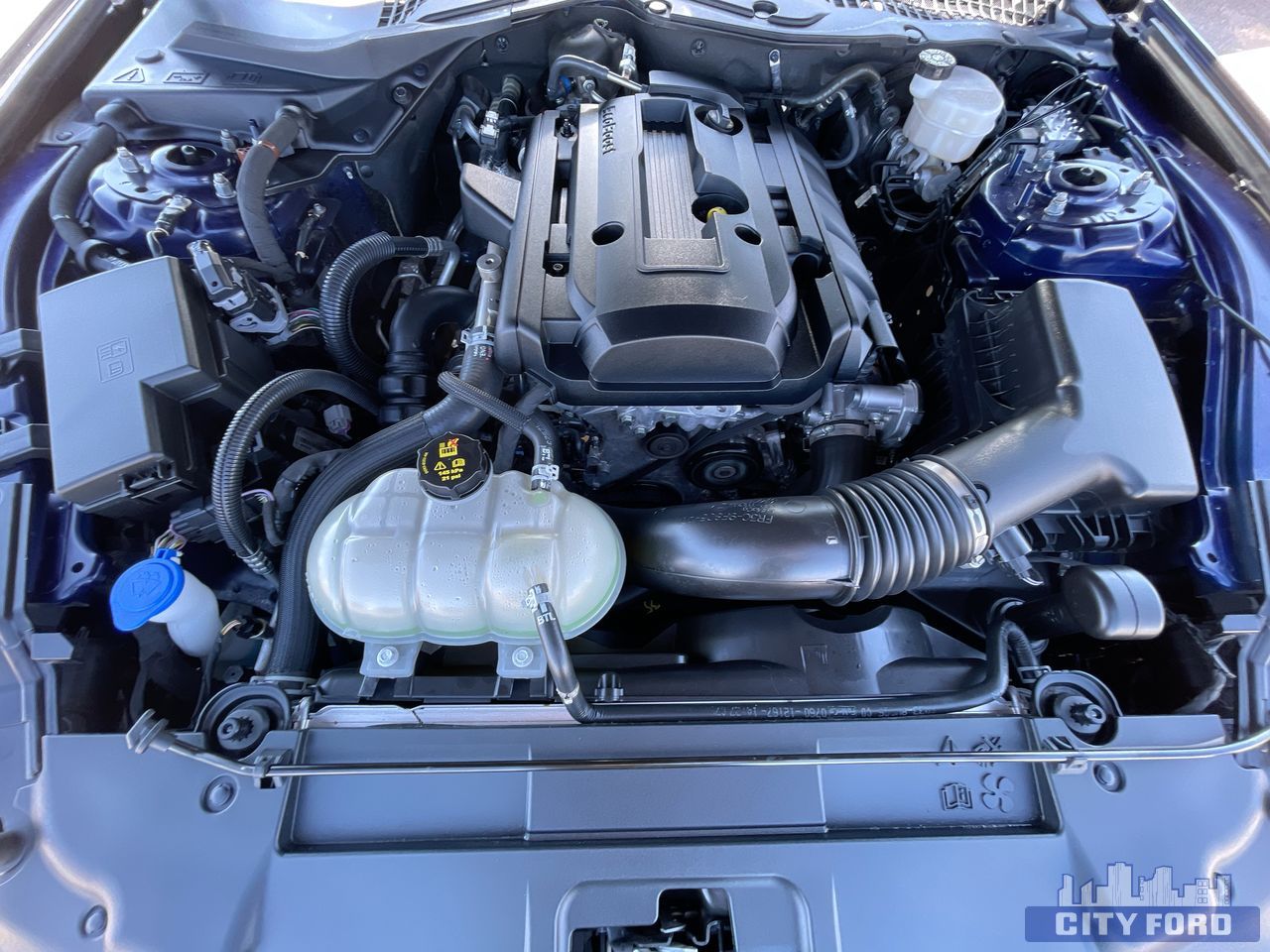used 2020 Ford Mustang car, priced at $33,995