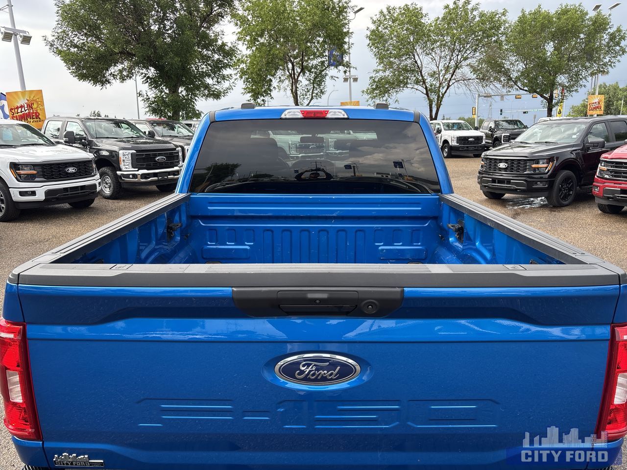 used 2021 Ford F-150 car