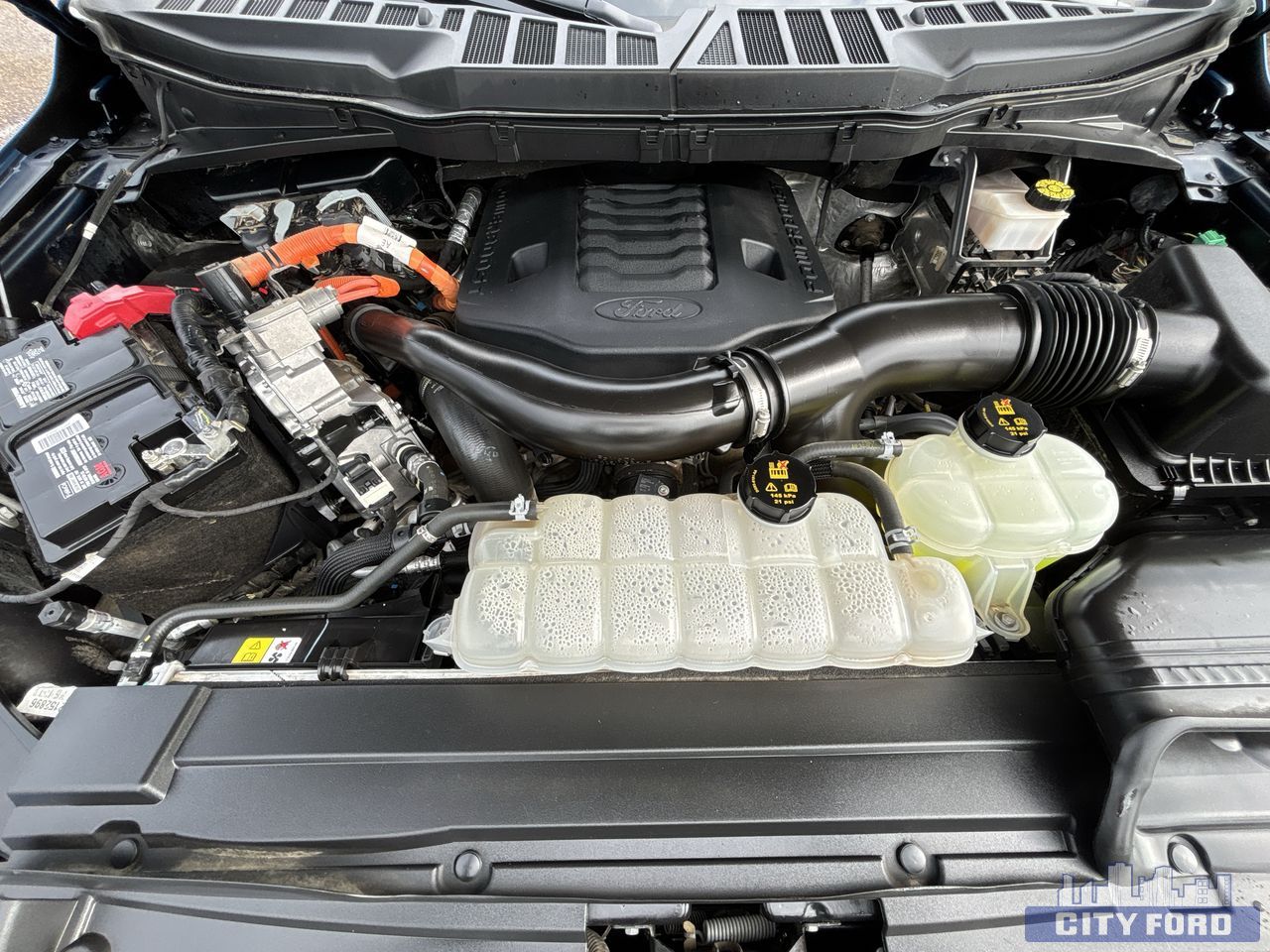 used 2021 Ford F-150 car