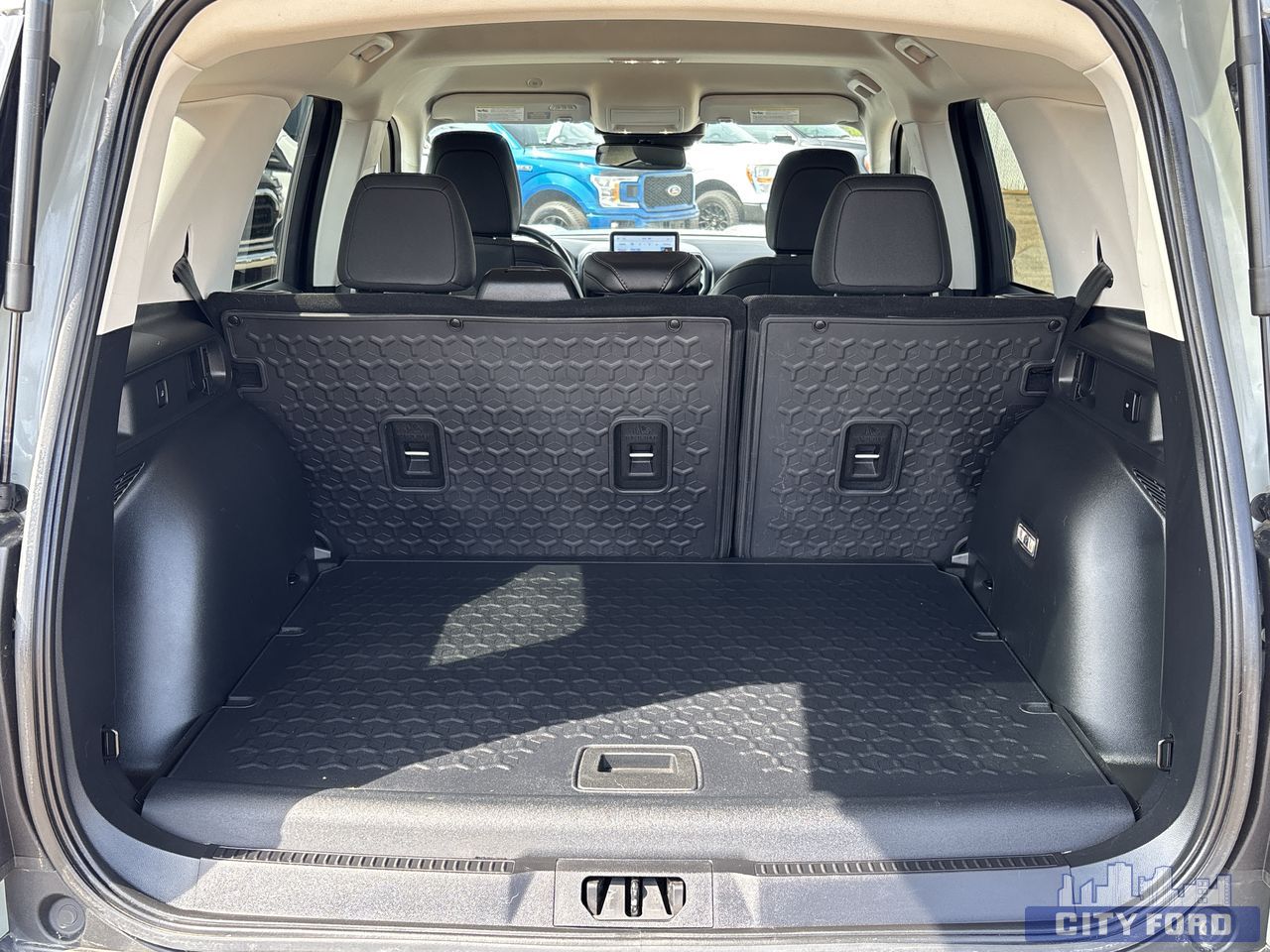 used 2022 Ford Bronco Sport car, priced at $33,895