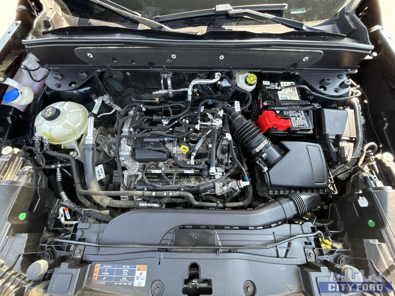 used 2022 Ford Bronco Sport car, priced at $35,991