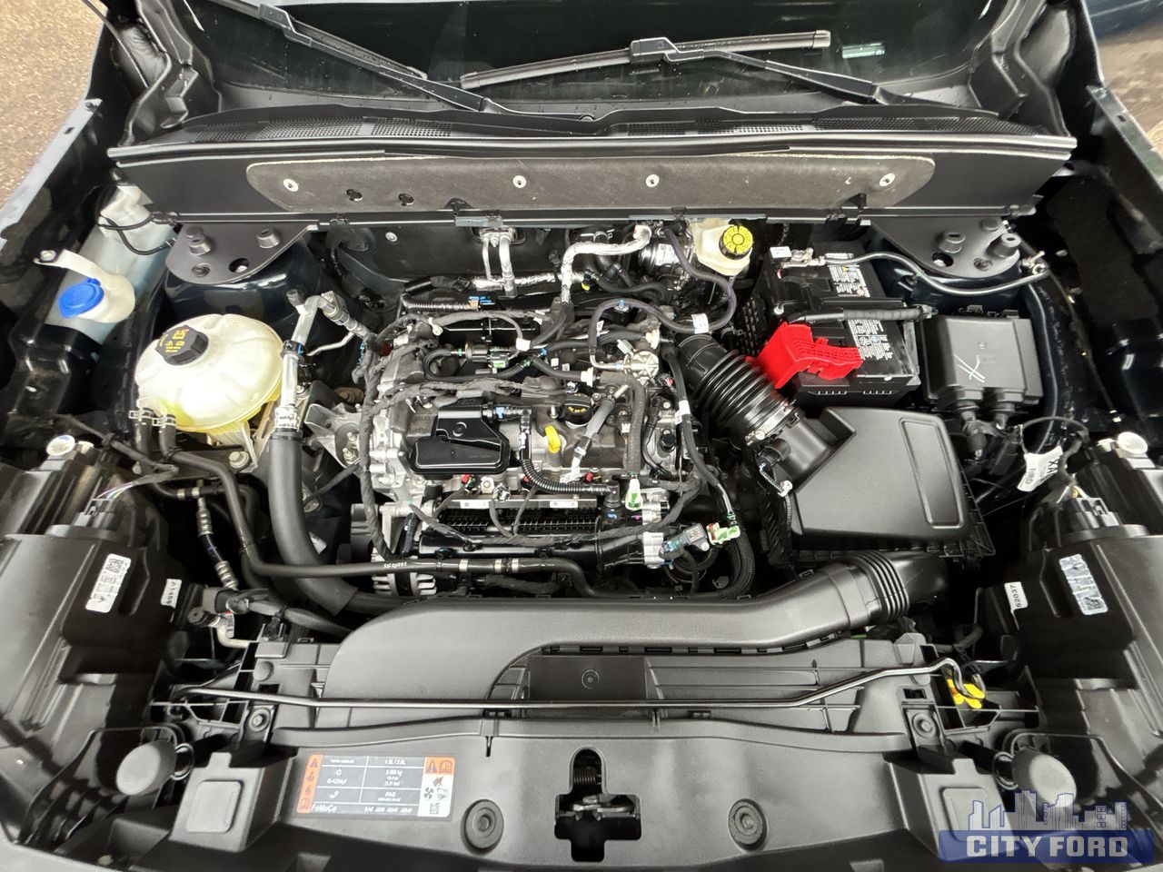 used 2023 Ford Bronco Sport car