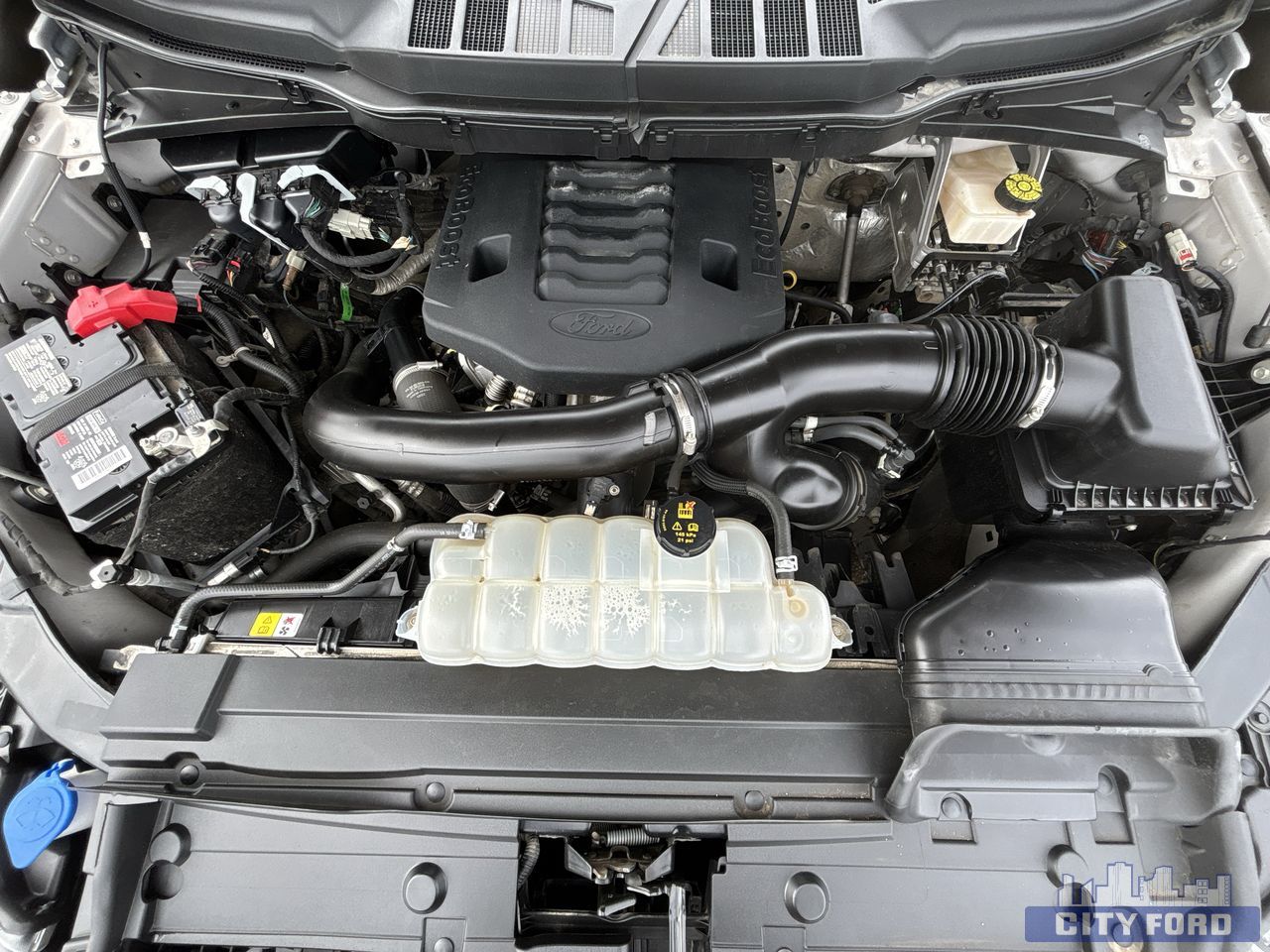 used 2023 Ford F-150 car, priced at $48,895