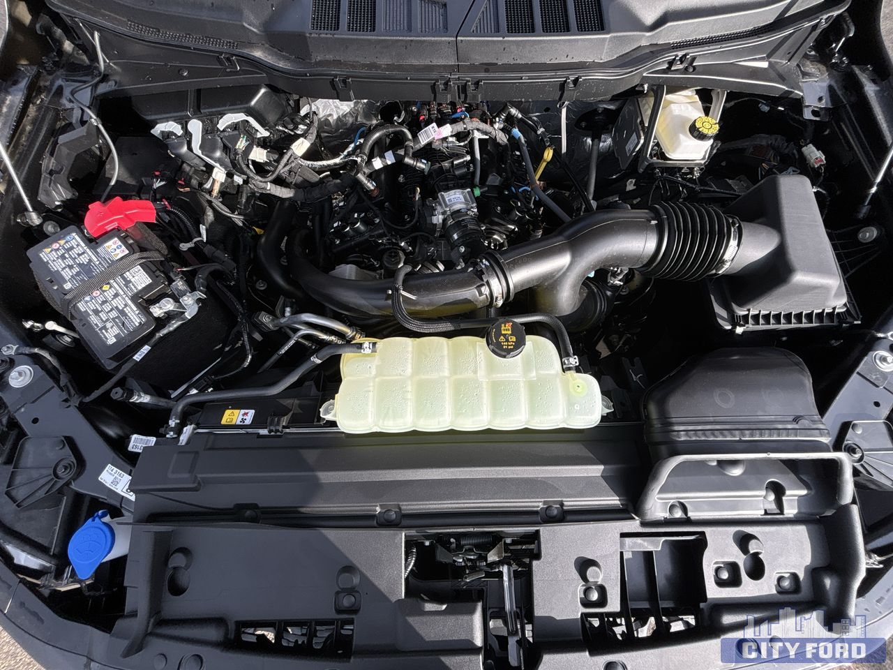 new 2025 Ford F-150 car, priced at $59,434