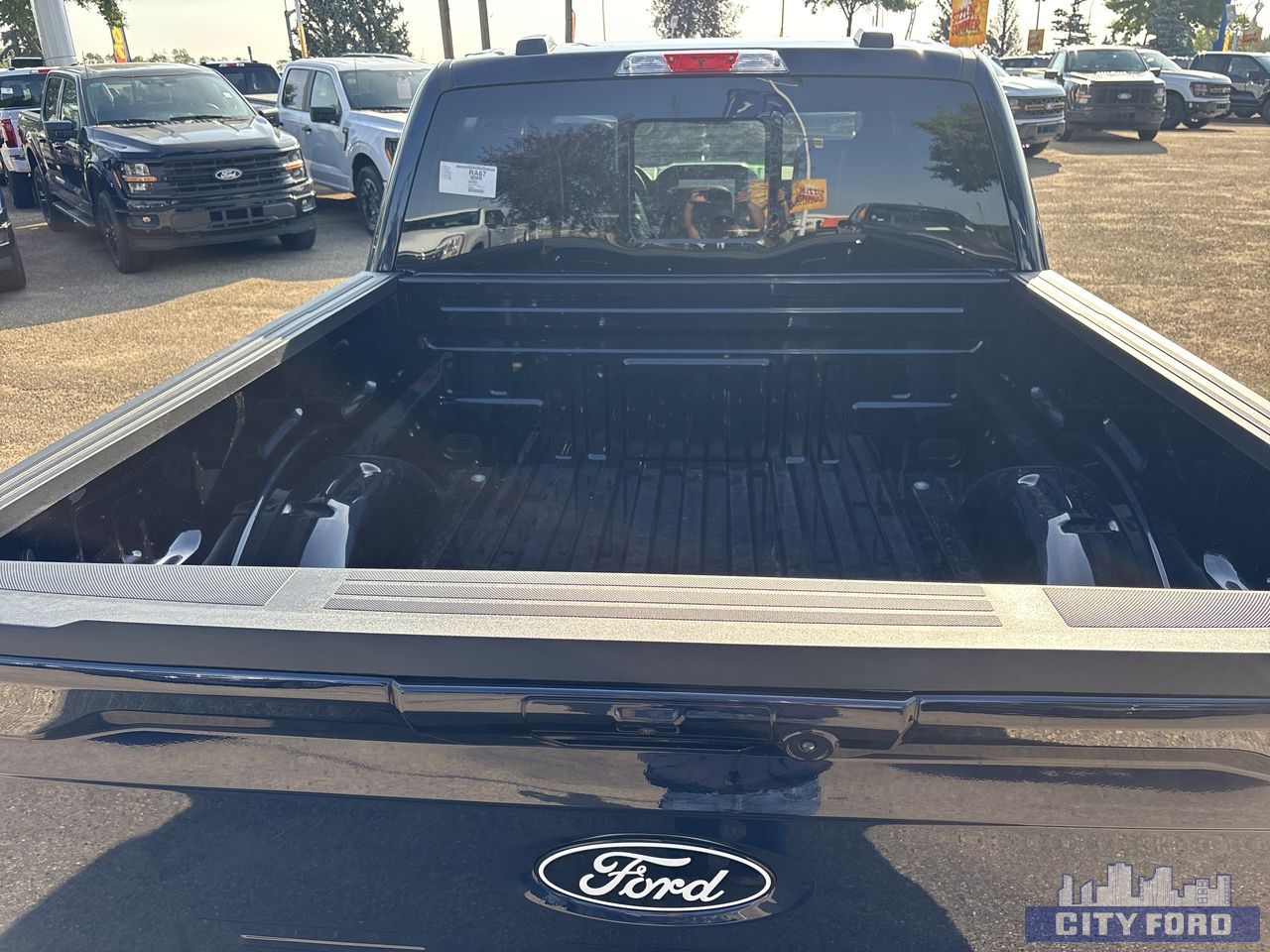 new 2025 Ford F-150 car, priced at $73,729
