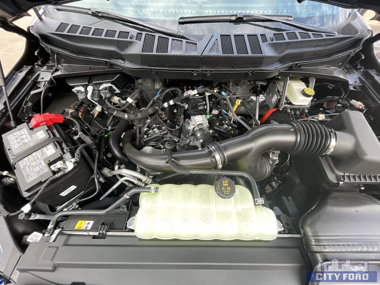 new 2025 Ford F-150 car, priced at $65,984