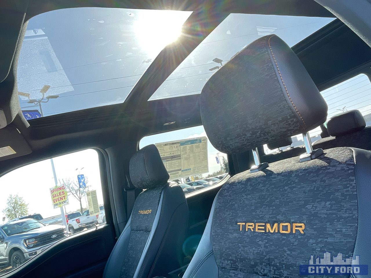 new 2025 Ford F-150 car, priced at $77,479