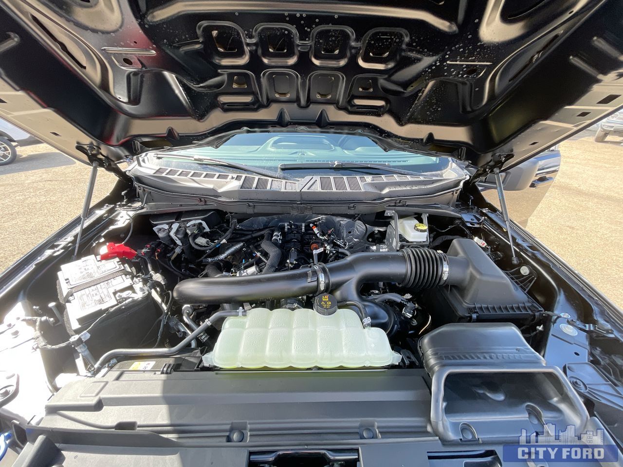 new 2025 Ford F-150 car, priced at $62,419