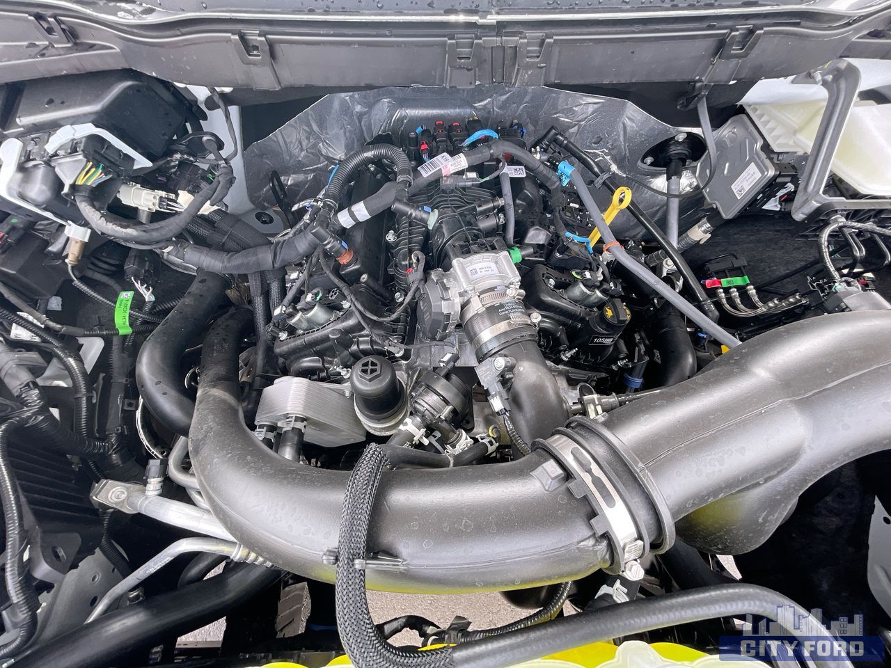 new 2025 Ford F-150 car, priced at $55,719