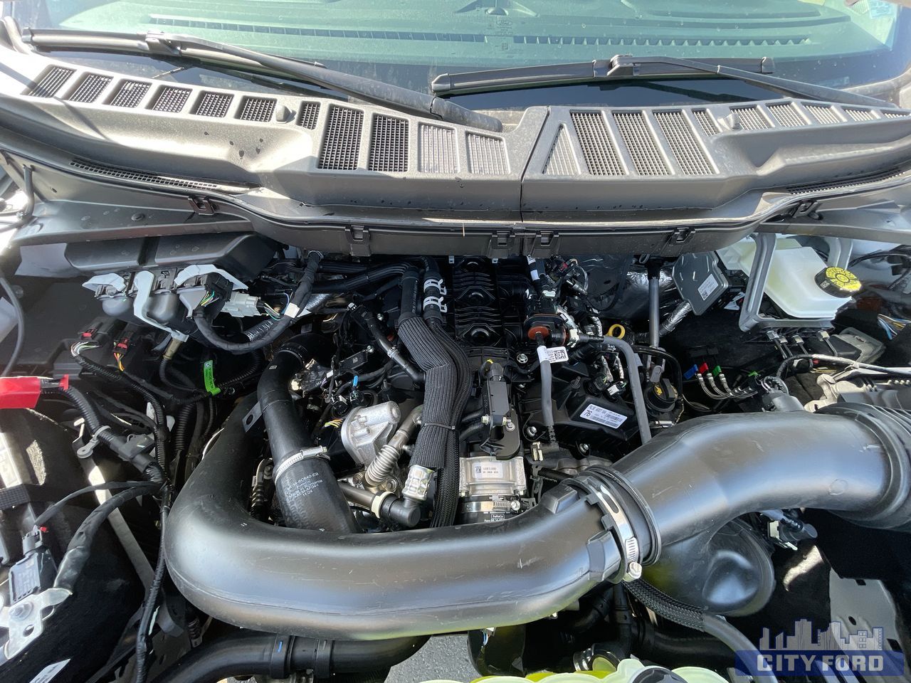 new 2025 Ford F-150 car, priced at $61,419