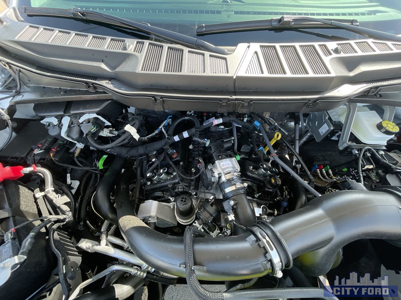 new 2025 Ford F-150 car, priced at $60,024